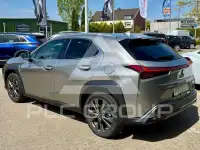 2024 Lexus UX250