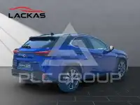 2024 Lexus UX250