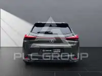 2024 Lexus UX250