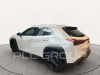 2024 Lexus UX250