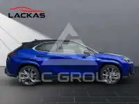 2024 Lexus UX250