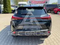 2024 Lexus UX250
