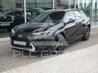 2024 Lexus UX250