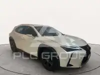 2024 Lexus UX250