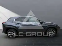 2024 Lexus UX250