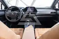 2024 Lexus UX250