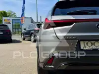 2024 Lexus UX250