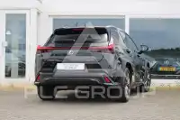 2024 Lexus UX250