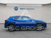 2024 Lexus UX250