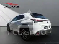 2024 Lexus UX250