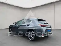2024 Lexus UX250