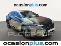 2024 Lexus UX250