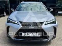 2024 Lexus UX250
