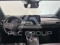 2024 Lexus UX250