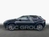 2024 Lexus UX250