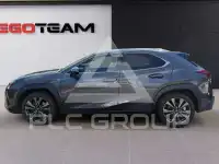 2024 Lexus UX250