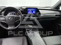 2024 Lexus UX250