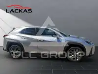 2024 Lexus UX250