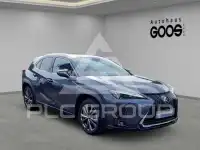 2024 Lexus UX250