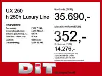 2024 Lexus UX250