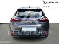 2024 Lexus UX250