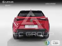 2024 Lexus UX250