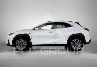 2024 Lexus UX250