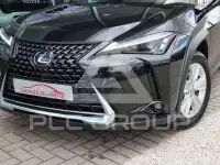 2024 Lexus UX250