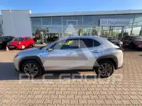 2024 Lexus UX250