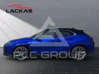 2024 Lexus UX250