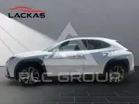 2024 Lexus UX250