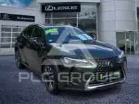 2024 Lexus UX250