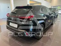 2024 Lexus UX250