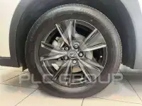 2024 Lexus UX250