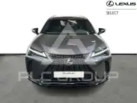 2024 Lexus UX250