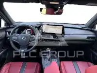 2024 Lexus UX250