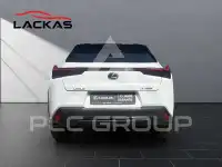 2024 Lexus UX250