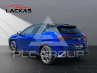 2024 Lexus UX250