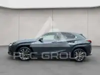 2024 Lexus UX250