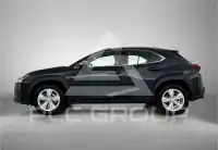 2024 Lexus UX250