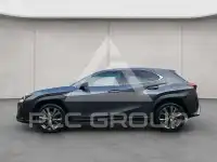 2024 Lexus UX250