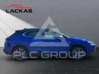 2024 Lexus UX250