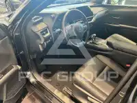2024 Lexus UX250