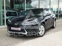 2024 Lexus UX250