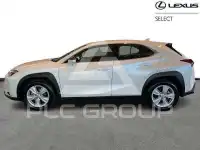 2024 Lexus UX250