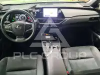 2024 Lexus UX250