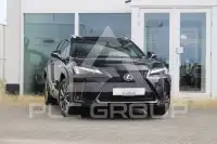 2024 Lexus UX250