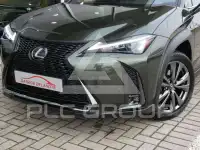 2024 Lexus UX250