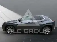 2024 Lexus UX250