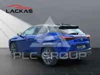 2024 Lexus UX250